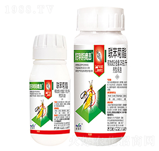 25��ÿ��(li��n)������-����������-����������