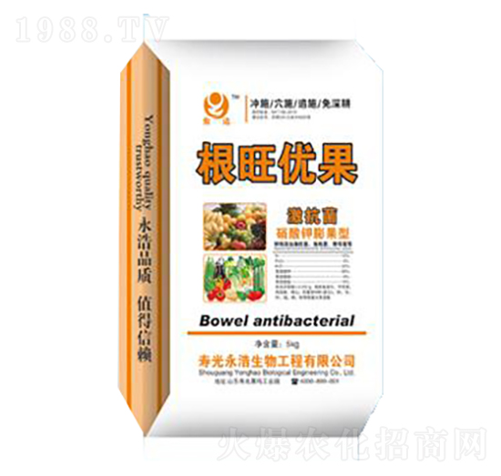 ������(y��u)��-��������