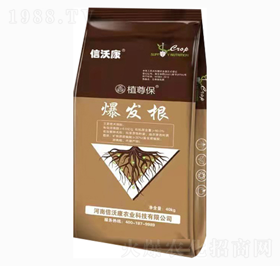 ���l(f��)��-ֲ��-���ֿ�