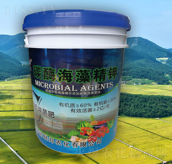 ̼ø���徫�-�A�Z(li��n)��