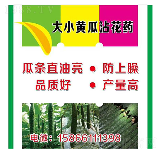 大、小黃瓜蘸花藥-美春農(nóng)業(yè)