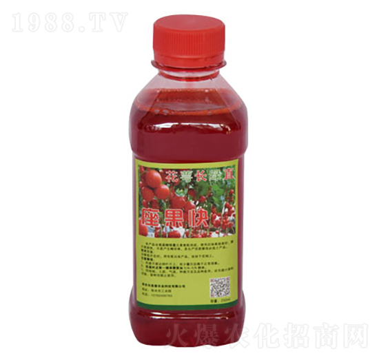 花萼長(zhǎng)綠直座果快-美春農(nóng)業(yè)