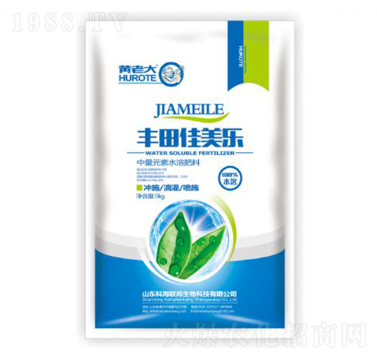 �S�������-�S�ϴ�-�ƺ���