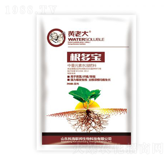 ������-�S�ϴ�-�ƺ���