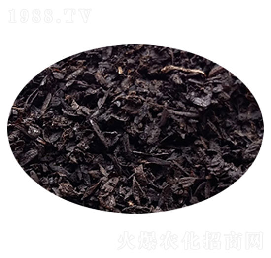 ̼������-�۱���