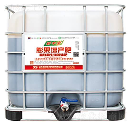 ������a��-�¸�����