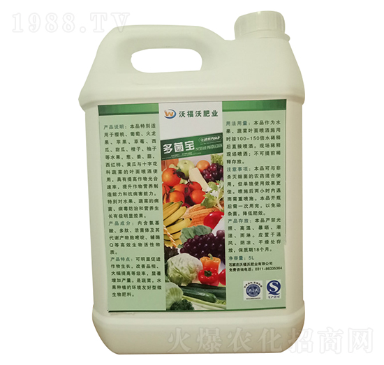 �����-�ָ���