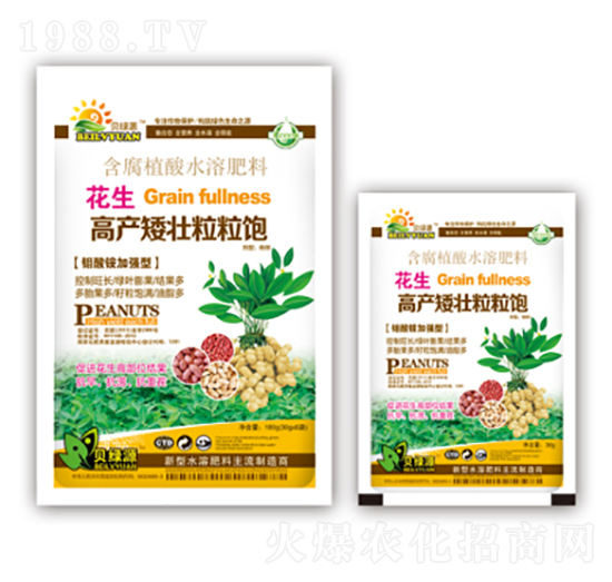 花生高產(chǎn)矮壯粒粒飽-潤澤肥業(yè)