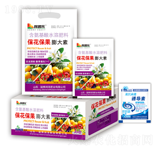 �������������-��(r��n)�ɷʘI(y��)