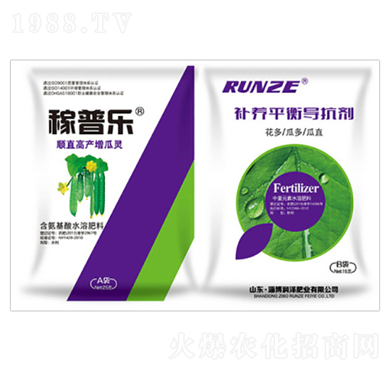 順直高產(chǎn)增瓜-稼普樂(lè)-潤(rùn)澤肥業(yè)