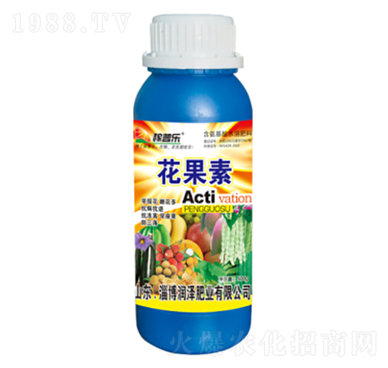 ������-���՘�-���ɷʘI(y��)