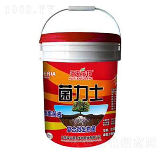 ����ʿ-��������