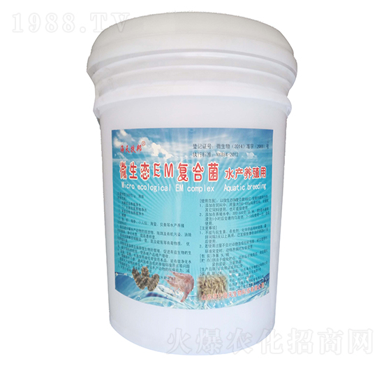 ΢���B(t��i)��(f��)�Ͼ�-��������