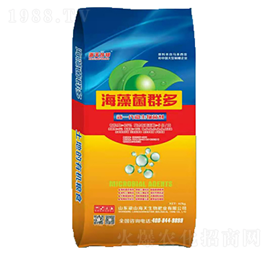海藻菌群多-海天生物