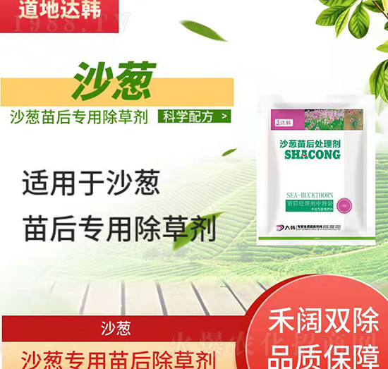 ɳ�[���݄�-ɳ�[���-ɳ�[��(zhu��n)��-���n