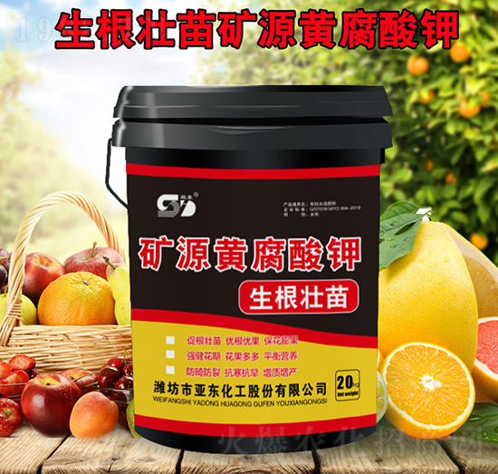 �VԴ�S����⛣��������磩-���|����