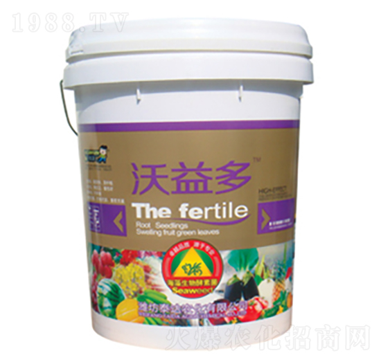 ����������ؾ�-�����-̩�_(d��)�r(n��ng)��