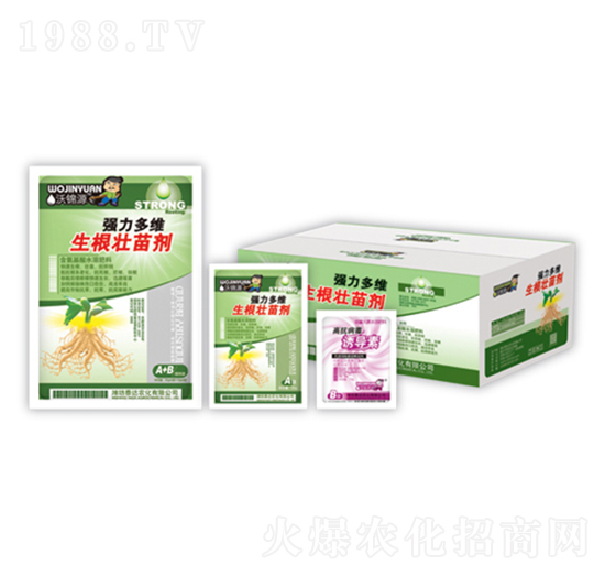 ������S�������焩+�T����-̩�_�r(n��ng)��