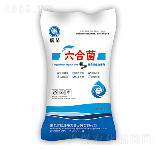 ���Ͼ�-����