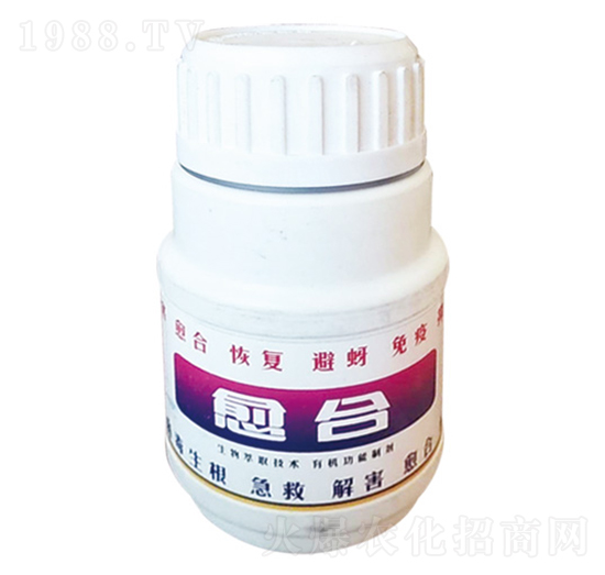 �����ޏ̈́�-����-����