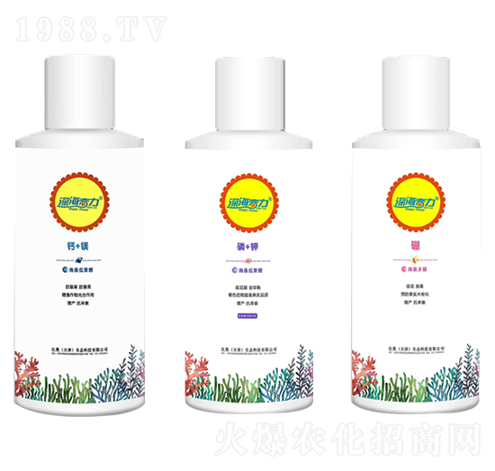 �����-Һ�w��-���r(n��ng)(li��n)��