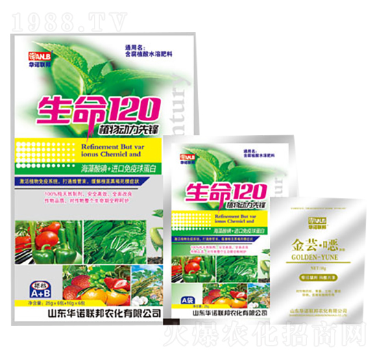 ����120-�A�Z(li��n)��