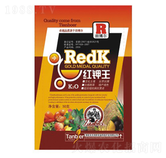 �t����~���-�|������