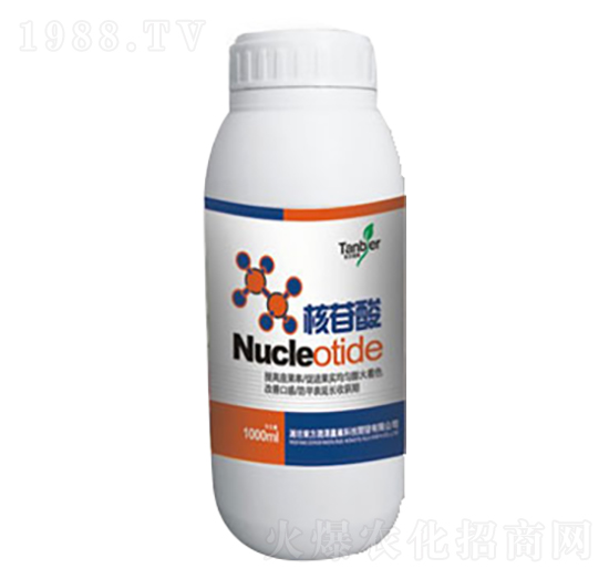 ������-�|����(r��n)��