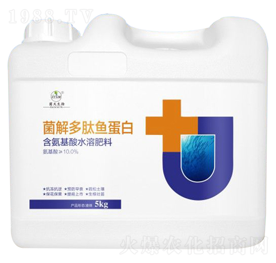 ��������~����-��������