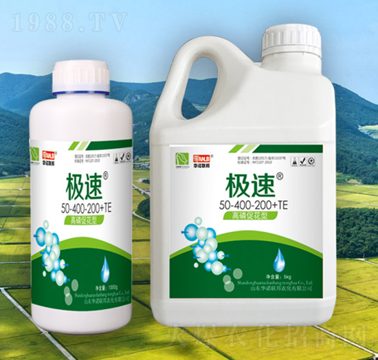 ��⛴ٻ���50-400-200+TE-�O��-�A�Z��