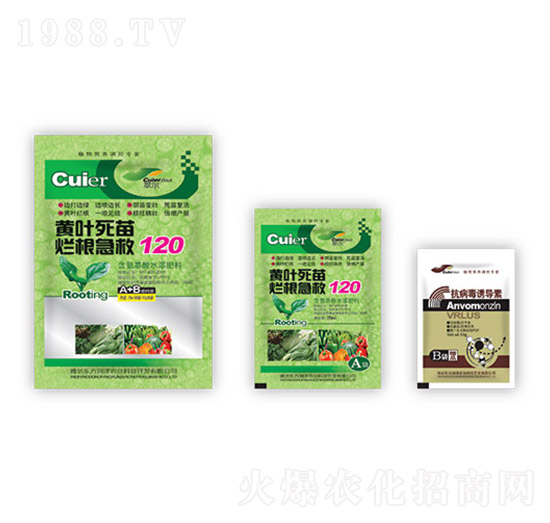 �S�~���砀������120+�������T��(d��o)��-�|������