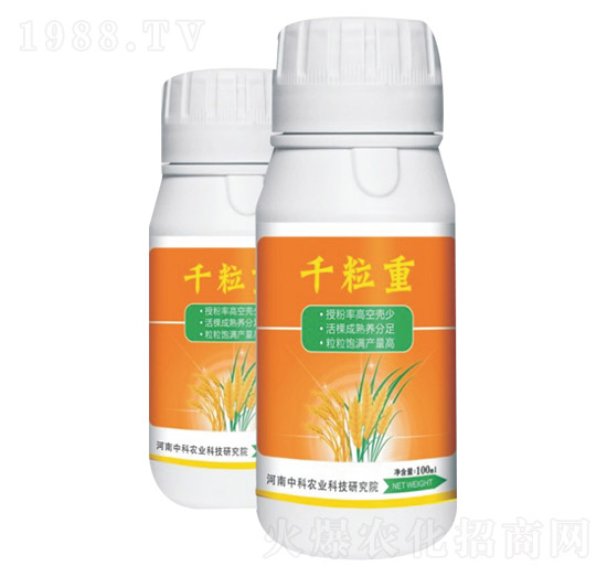 千粒重-中科農(nóng)業(yè)