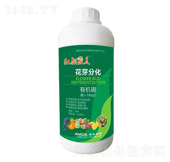 �ЙC(j��)��-�t���-��ķ�_(d��)