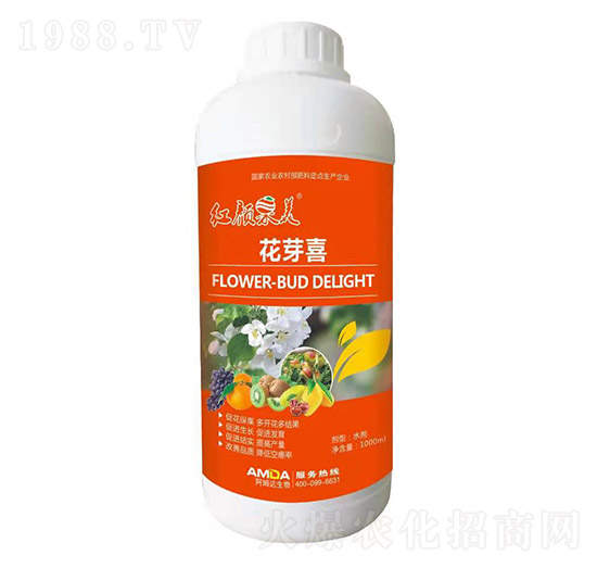 ��ѿϲ-�t���-��ķ�_