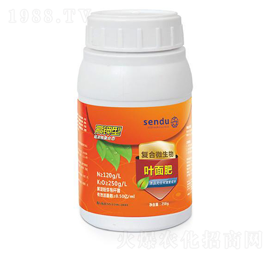 ����͏ͺ�΢�����~���-ɭ��