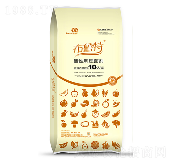 �����{(di��o)������-������-�{(l��n)������