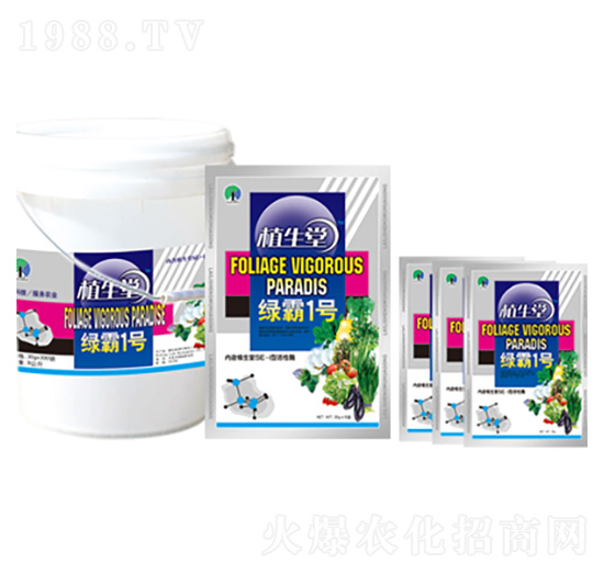 �G��1̖ �R������