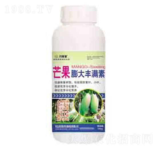 â������S�M�� �ɹܼ� ����