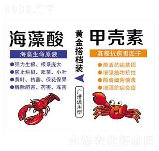 ������+�ך��� ����