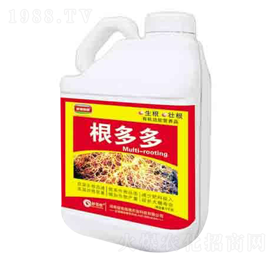 ΢����� ����� ����