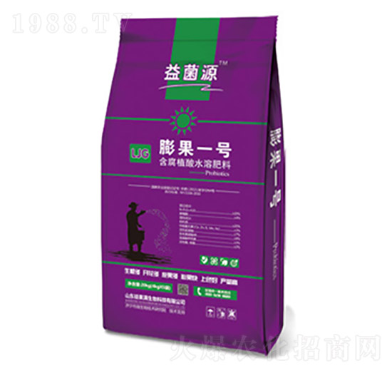 ���һ̖-���Դ-�T���M����