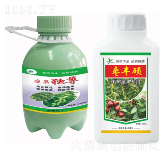 棗樹座果專用 座果獨(dú)尊 棗豐碩 金牌化工
