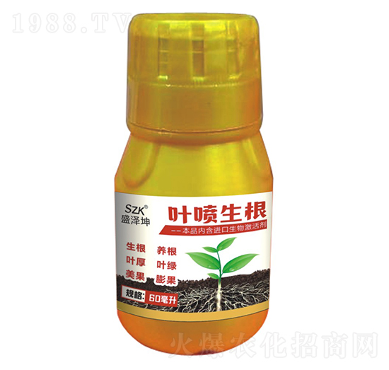 �~������ ʢ����