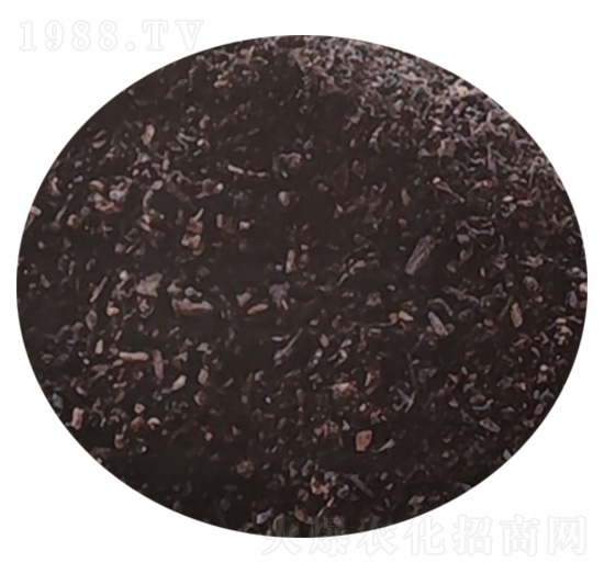 �۠��ЙC�� �v�\����