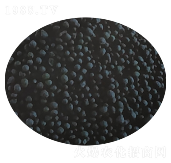 �����ЙC(j��)�� �v�\(y��n)����