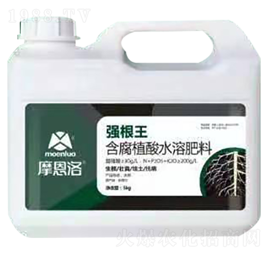 ����ֲ��ˮ�ܷ��� ������ Ħ����