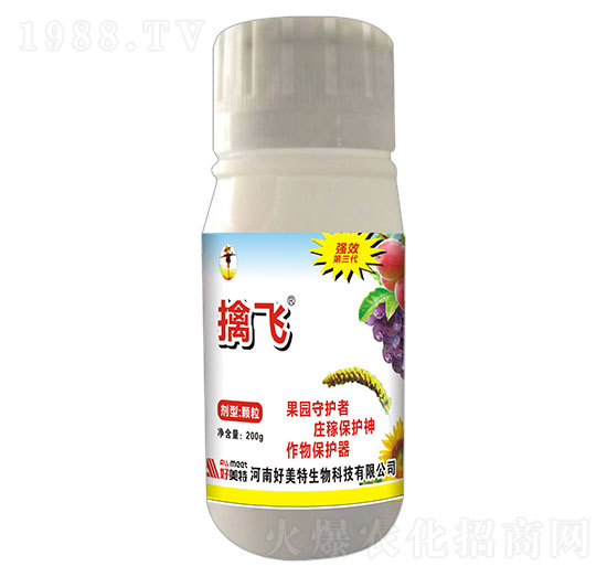 200g���w�(q��)�B�����w����-������