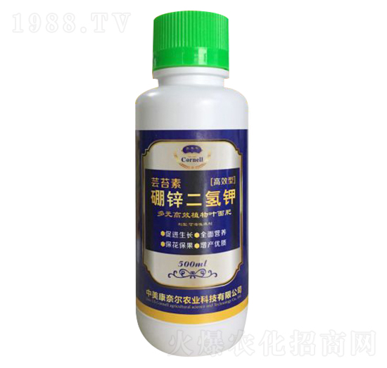 �|̦�����\�����-�����S-���Π�