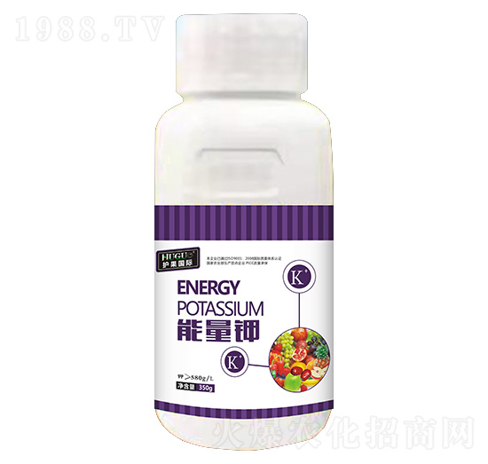 �����-�o��