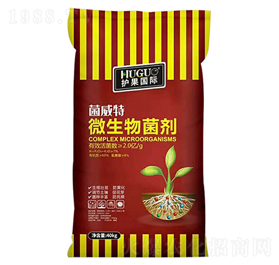 ΢�������-������-�o(h��)��